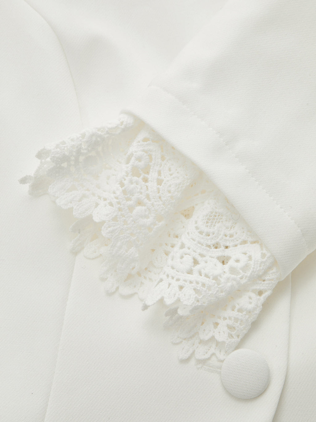 Lace Cuff Stand Collar Fitted Jacket